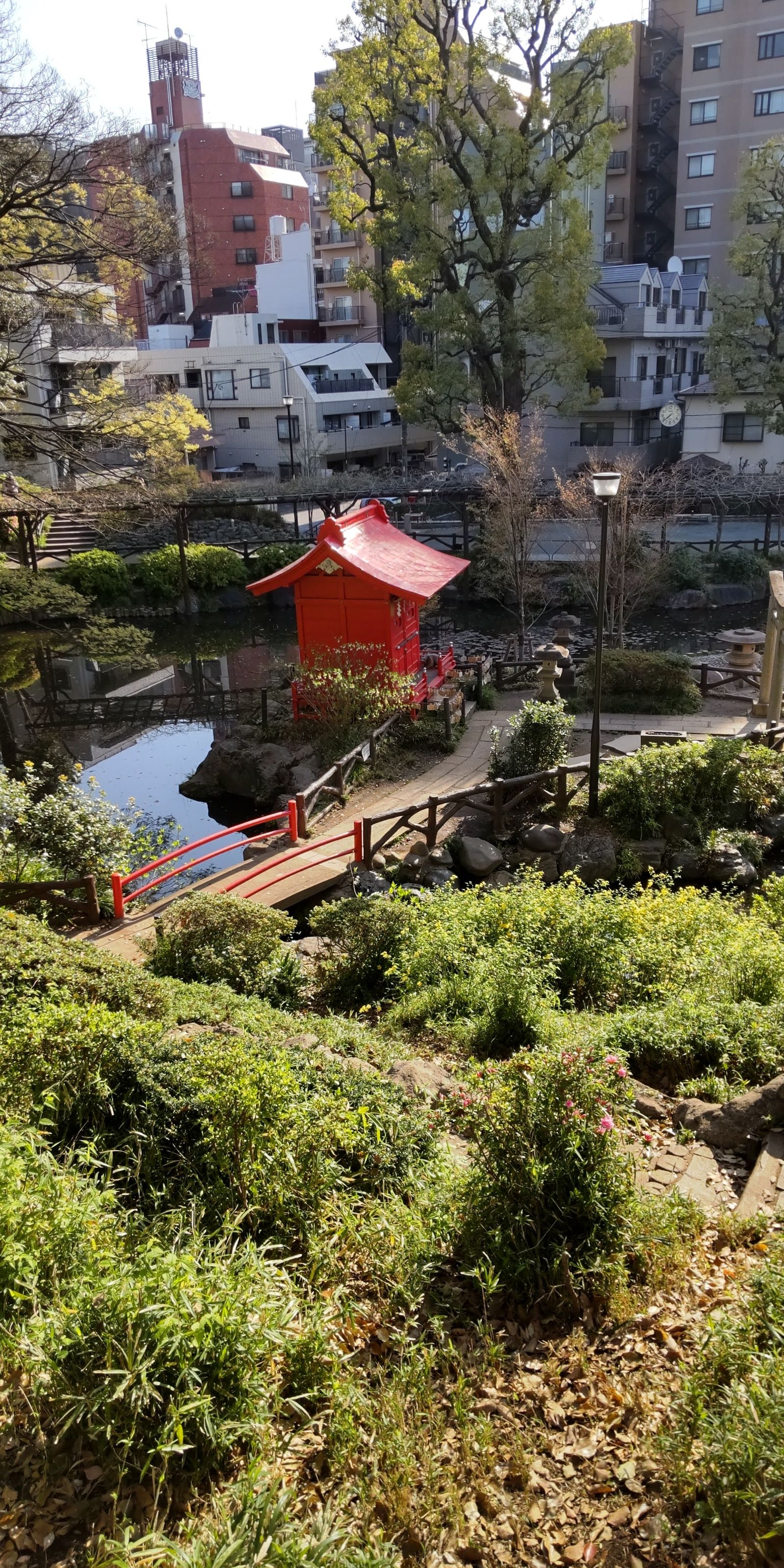 須藤公園｜さんたつ by 散歩の達人